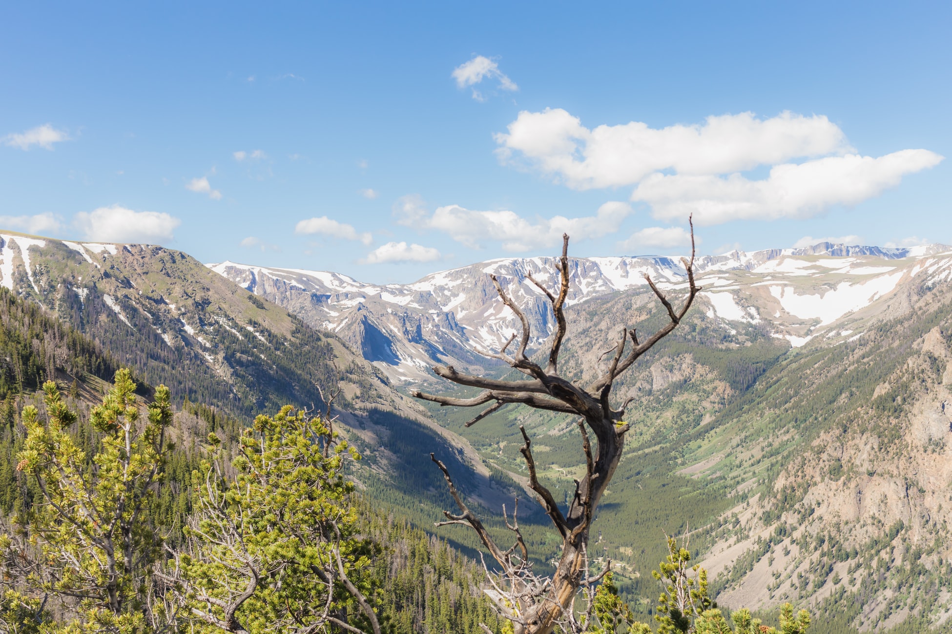 Red Lodge Canyon